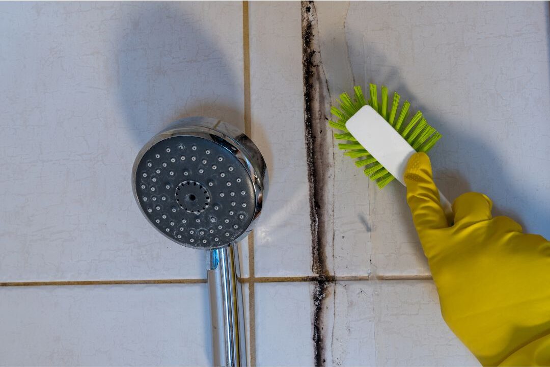 the bathroom as a major source of why a home always smells bad