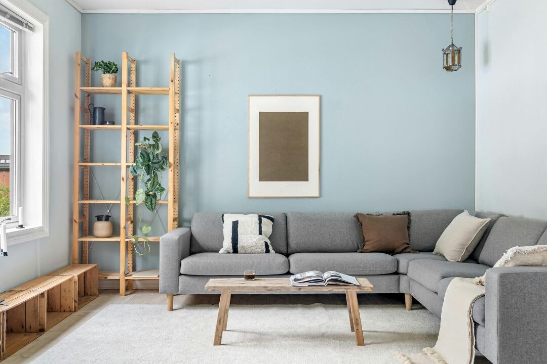 a soft rug adding a luxurious feel to a home living room