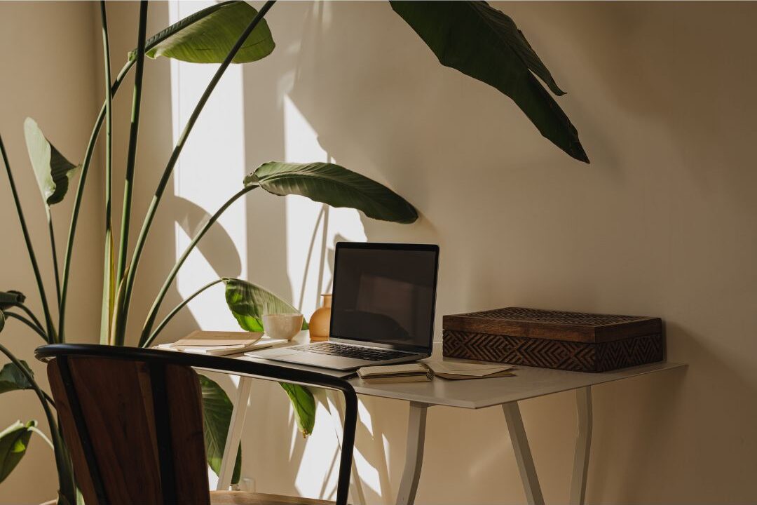 cozy warm lighting making a beautiful work from home space more inviting