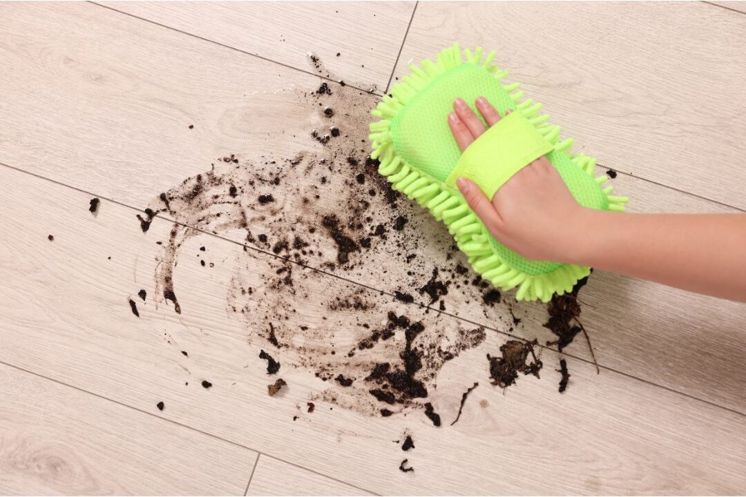 woman cleaning with the wrong method and spreading dirt instead of removing it