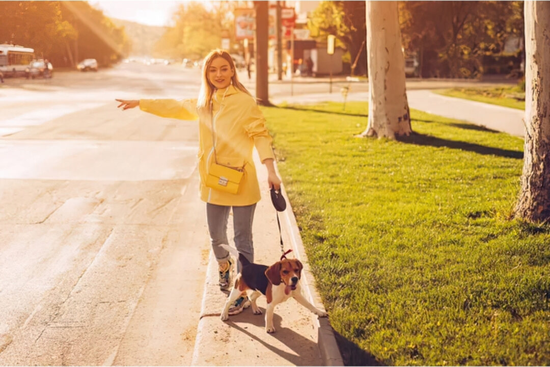 woman walking peacefully on tree lined neighborhood street practicing an evening transition walk