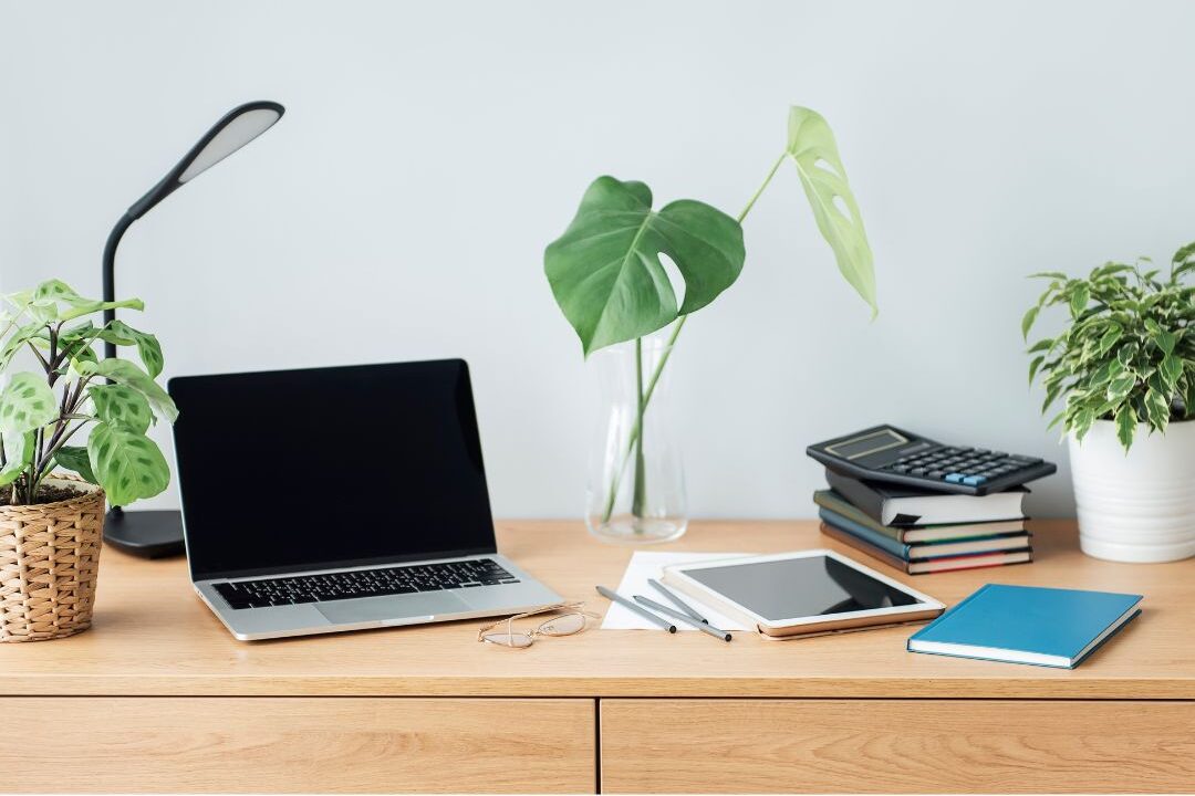 organized desk workspace with laptop notebook and indoor plant minimizing transition friction