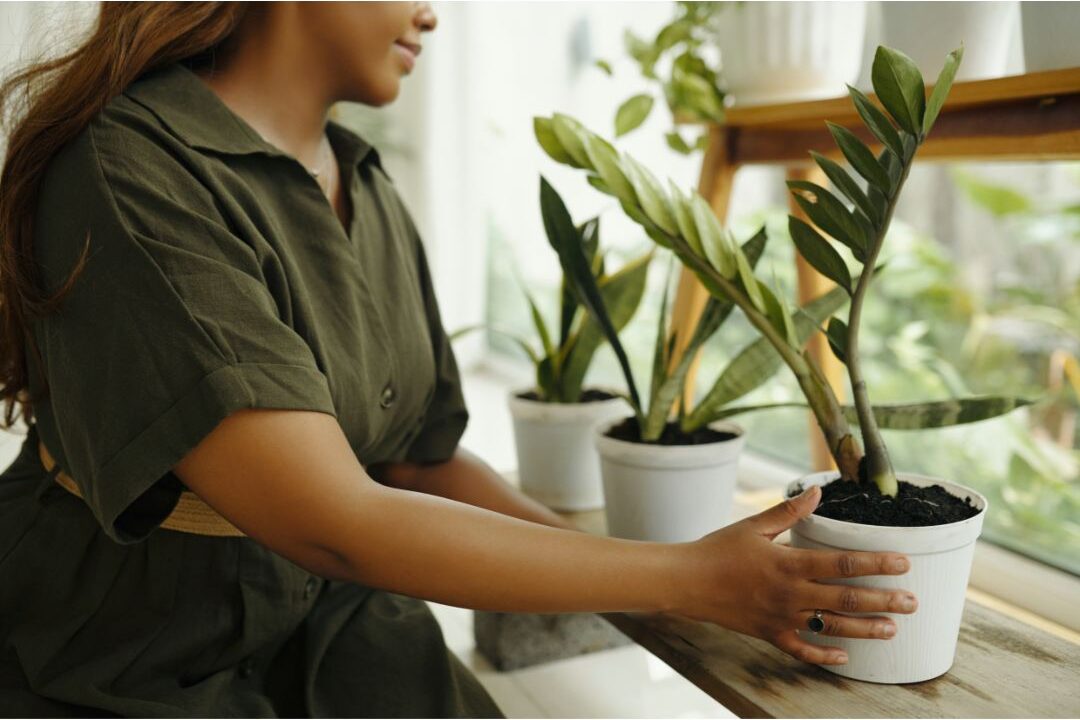 woman tending to indoor potted plants on sunny windowsill showing creative hobbies