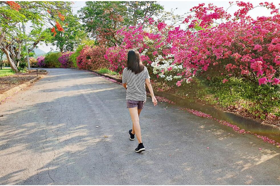 woman taking a peaceful walk outdoors in morning light prioritizing preventative health care