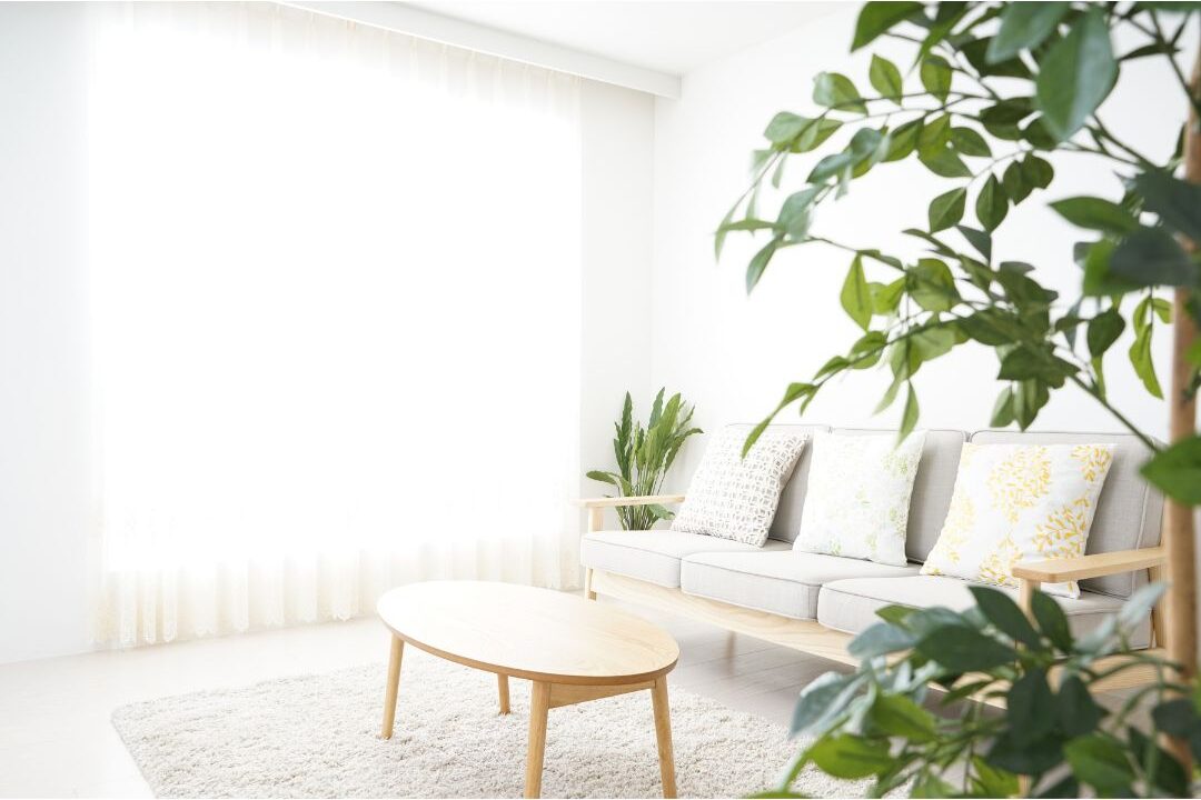 peaceful sunlit living room with clean aesthetic and green plants illustrating emotional grounding