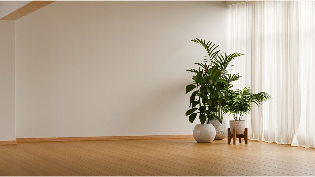 bright minimalist living room with warm light and clean floor showing a peaceful environment