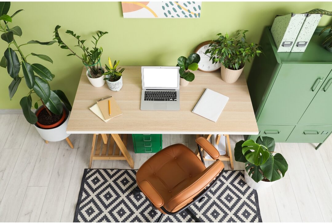 bright modern home office space with green houseplant on desk organizing environment for success