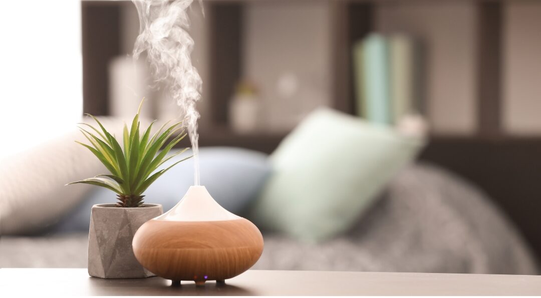 ceramic essential oil diffuser producing delicate mist near green plant
