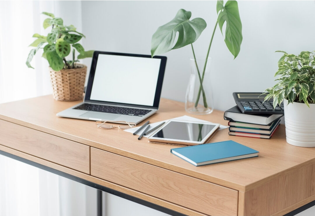 minimalist wooden home office desk with clean laptop and small green plant maintaining clean workspace