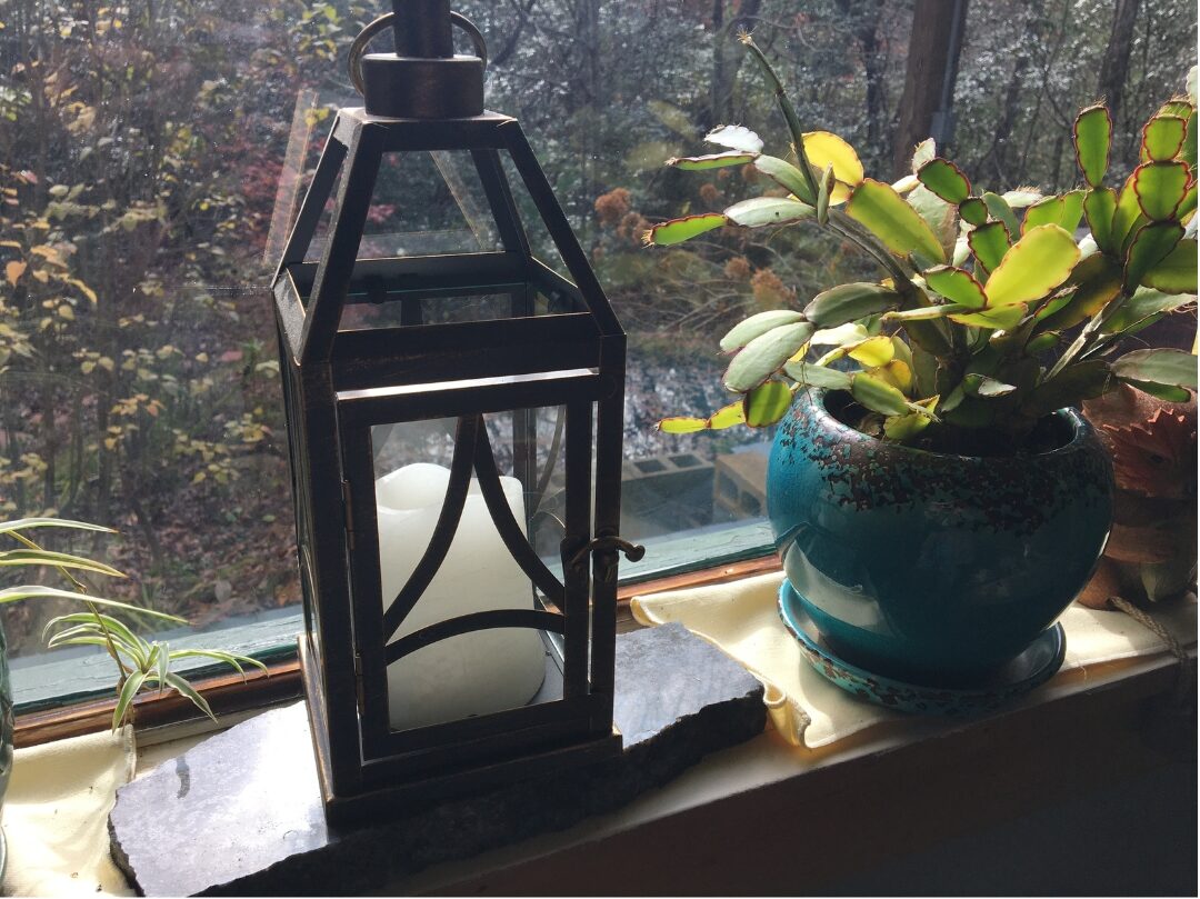 small paper lantern lamp resting on floor beside indoor potted plant presenting 40 cozy home ideas you'll want to copy