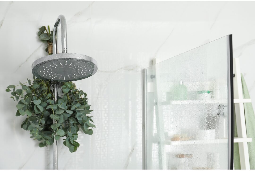 fresh green eucalyptus stems tied neatly behind brass shower head