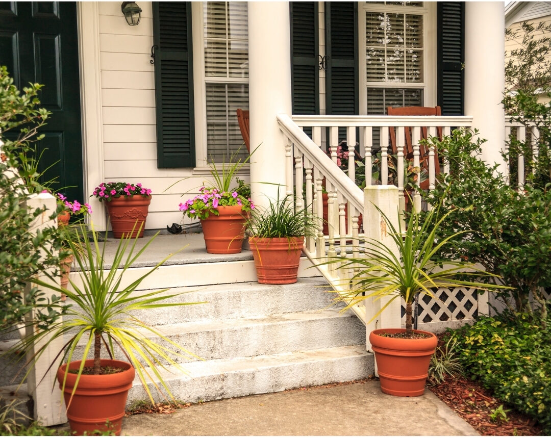 clean front porch entryway with a lush green potted plant and lantern