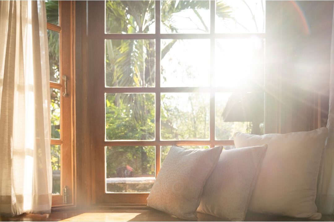 morning sun streaming into quiet organized living room