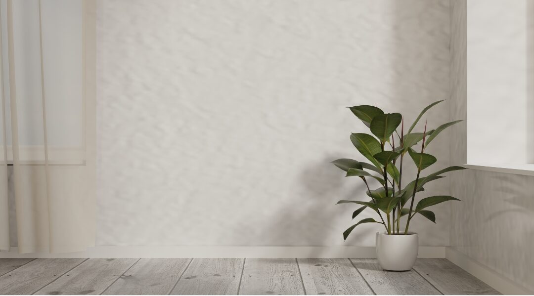 minimalist sunlit room corner with open space celebrating 75 things every elegant home has