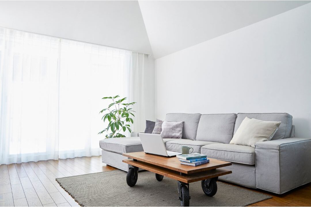 sunlit immaculate living room with white sofa and green houseplant highlighting I stopped doing these 12 things my home has never been cleaner