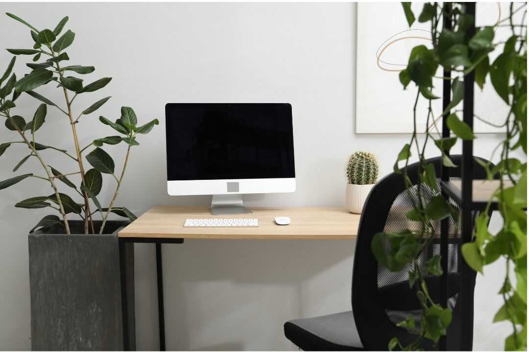 peaceful organized home office desk with computer notepad and potted plant showcasing calm work space