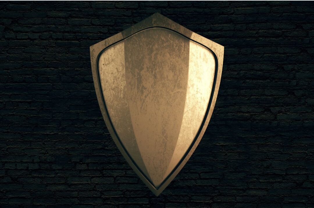 shield emblem resting on top of leather legal document binder
