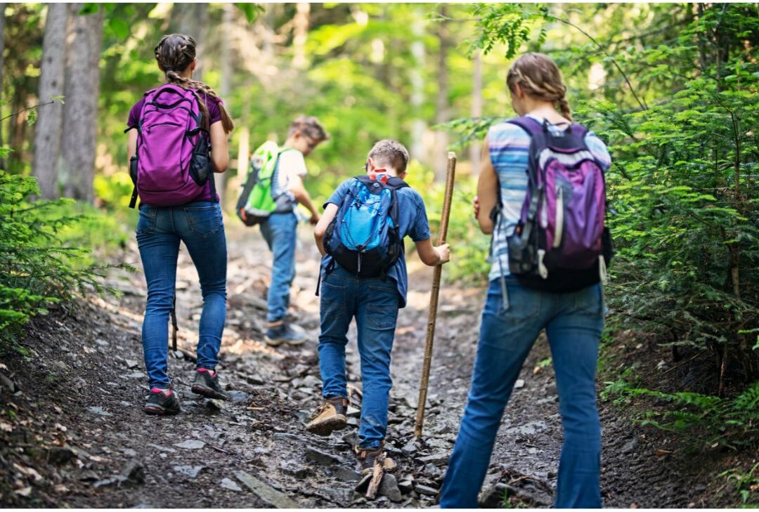 family hiking along forested trail carrying wooden walking sticks