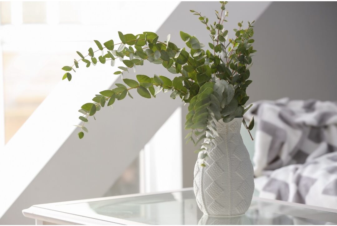 tall glass vase filled with fresh green eucalyptus branches finding 75 things every elegant home has