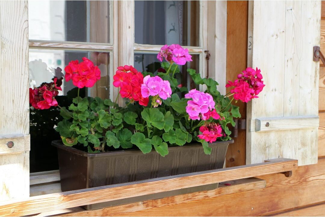 wooden window box planter filled with colorful trailing flowers presenting 70 budget-friendly home upgrades that are actually worth it